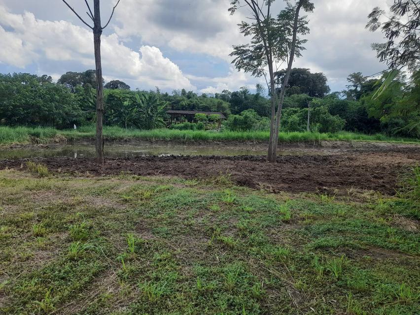 ขายที่ดินแปลงสวย 2 แปลง เริ่มต้น 300 ตร.ว. พร้อมโฉนด นส.4 โซนขนงพระ - ปากช่อง เขาใหญ่ ใกล้มอเตอร์เวย์ M6