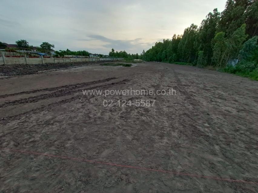 ที่ดินเปล่า ใกล้โรงเรียนเทศบาล 1 (ขจรเนติยุทธ) ถนนลำลูกกา ต.คูคต อ.ลำลูกกา จ.ปทุมธานี 11