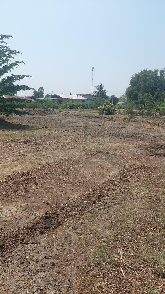 ที่ดินสองไร่พร้อมบ้านสวน 6