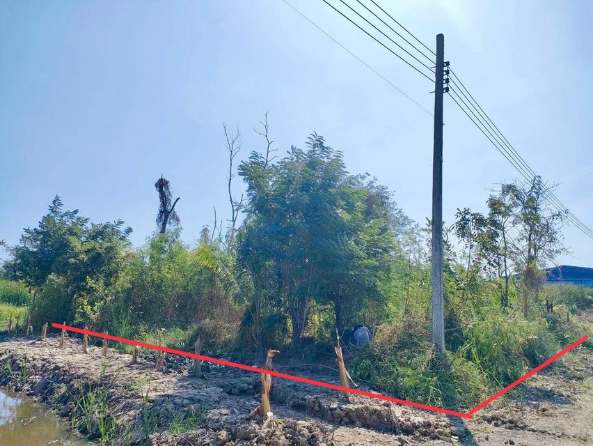 ขายที่ดินเนื้อที่ 106 ตรว. (ถมแล้ว) - ห่างจากถนน คู้-คลองสิบ ฝั่งเหนือ 50 เมตร - ห่างจากแยกลำหิน 700 เมตร - มีถนนสาธารณะกว้าง 8 เมตร มีไฟฟ้าผ่าน..... 7