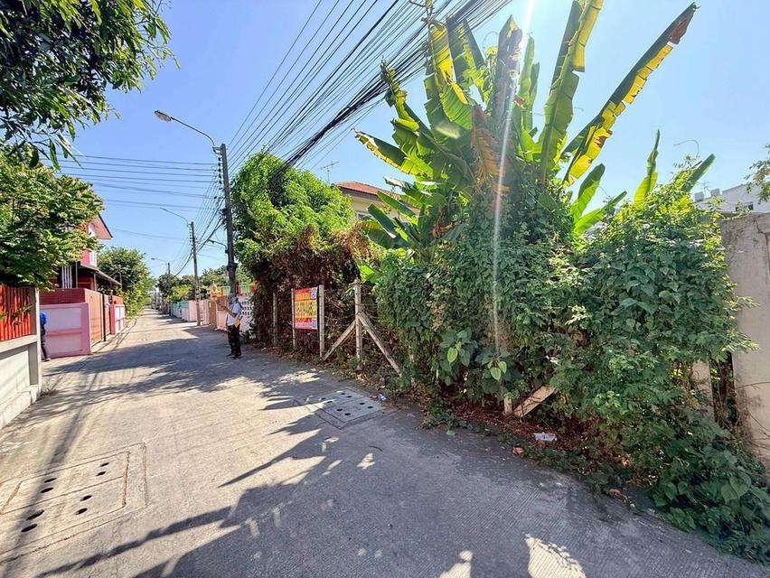 ขายถูกที่ดิน 100 ตรว  ซอยพหลโยธิน 54/1 แยก 6-10 สายไหม กทม.ถมแล้ว+ล้อมลวดหนาม 2