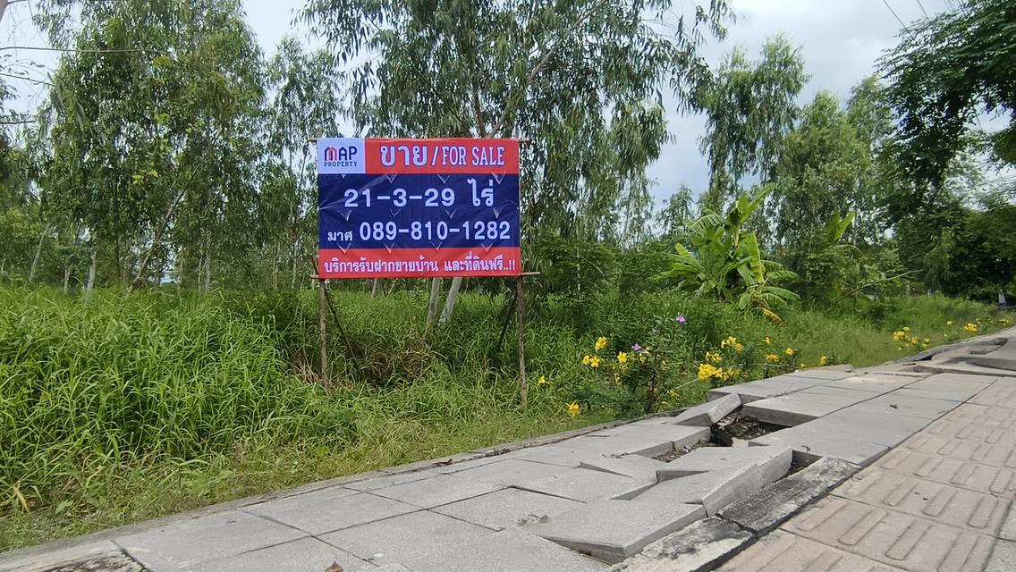 ขายด่วน ที่ดินติดถนนใหญ่ ราคาถูก