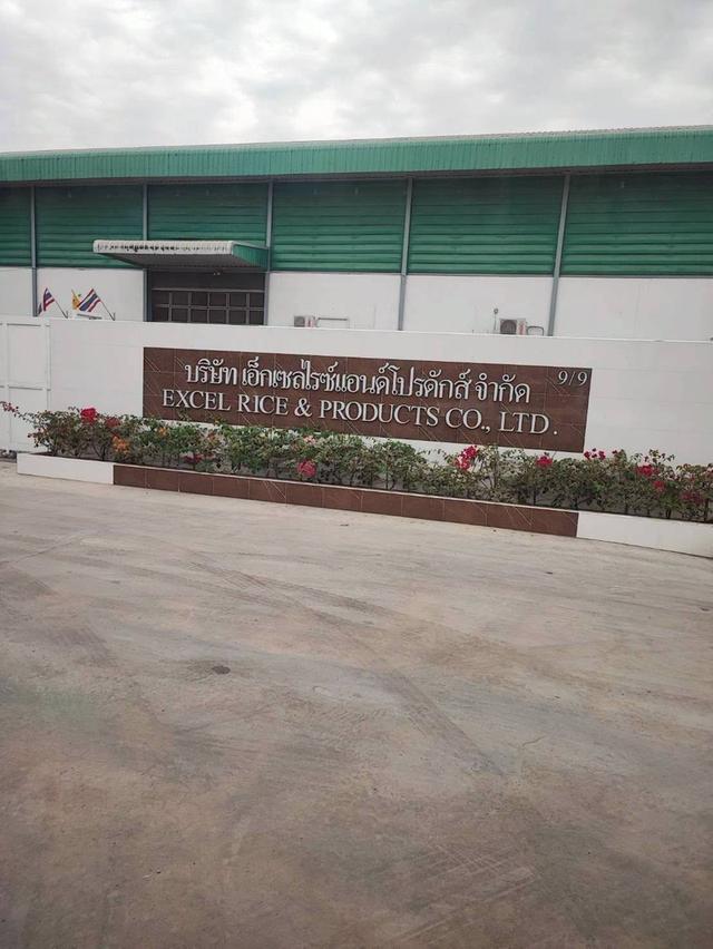 ขายด่วนที่ดินใกล้บริษัทเอ็กเซลไรซ์แอนด์โปรดักส์ 399 ตรว ติดถนนดิน ศาลาแดง บางน้ำเปรี้ยว ฉะเชิงเทรา 2