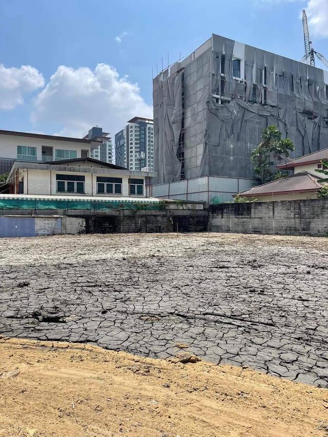 ด่วน ขายที่ดินสุขุมวิท64 บางจาก ปุณณวิถี พระโขนง 196ตร.ว แปลงสวย ทำเลดี ใกล้บ BTS ปุณณวิถี บางนา ทางด่วนสุขุมวิท62 สร้างบ้าน สำนักงานออฟฟิศ 0879074045 2