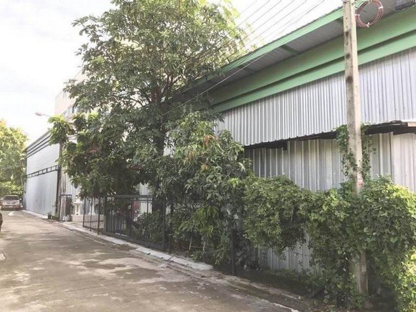 รูป ขายโกดังในเนื้อที่ 166 ตรว. ซ.ลาดพร้าว 71 1
