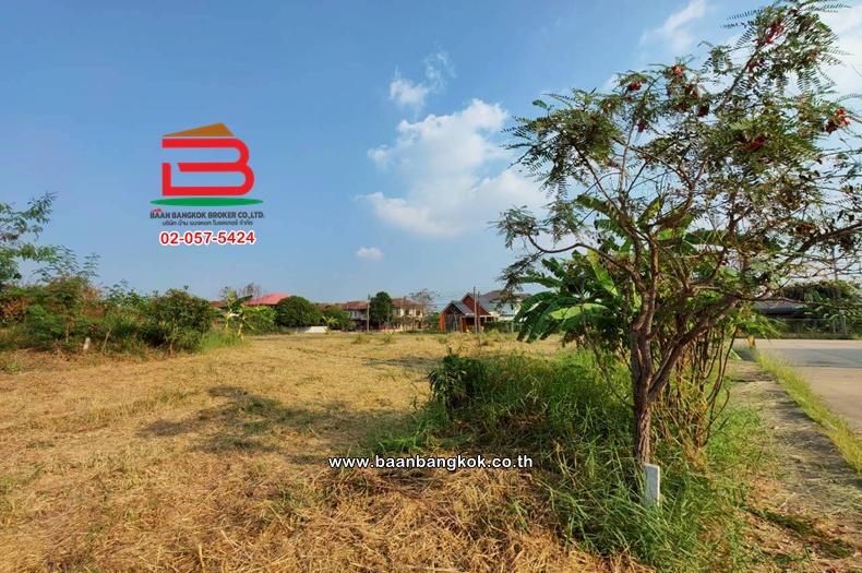 ที่ดินเปล่า เนื้อที่ 112 ตร.ว. หมู่บ้านเดอะลากูล 1-2 ถนนปทุมธานี-สามโคก-เสนา ตำบลท้ายเกาะ อำเภอสามโคก ปทุมธานี 4