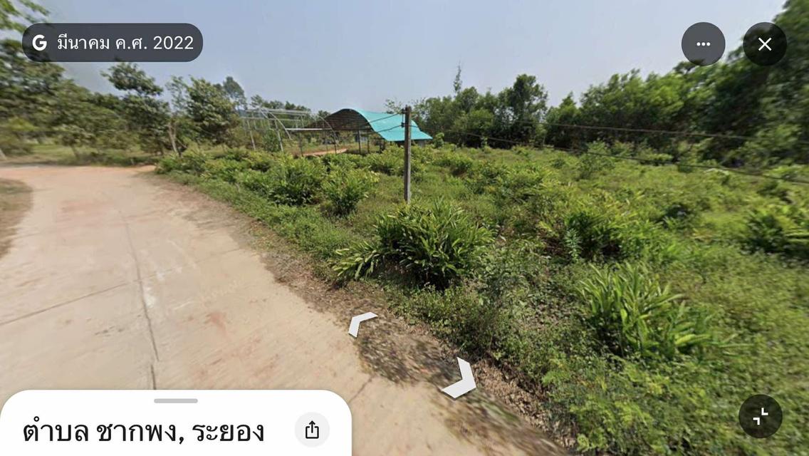 ขายที่ดิน 1 งาน ต.ซากพง อ.แกลง จ.ระยอง ราคาเพียง 500,000 บาท 7