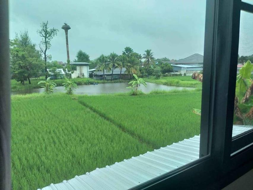 🏡🎉 บ้านเดี่ยวชั้นเดียว นอกโครงการ สร้างใหม่แกะกล่อง ทรงนอร์ดิก #หางดง - ราคา 2.92 ล้านบาท 🔥新建房屋出售 3 卧室 2 卫生间 - 价格 2.92 MB 🔥