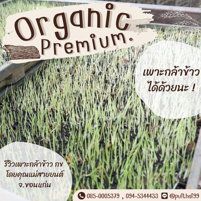 สารปรับปรุงดิน Organic premium  2