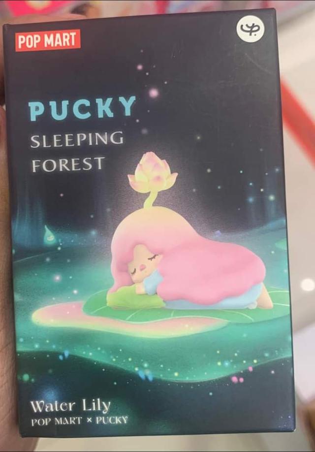 Pucky Sleeping Forest 3