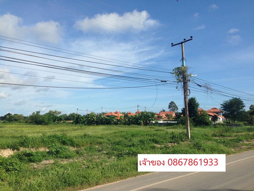 🌳🔥 ขายที่ดินแปลงใหญ่ 31 ไร่ ใกล้สุขุมวิท เพียง 1.3 กม. ต. ตะพง อ.เมืองระยอง 🔥🌳  หน้ากว้าง 280 เมตร ติดถนนใหญ่ เหมาะทำหมู่บ้านจัดสรร 9
