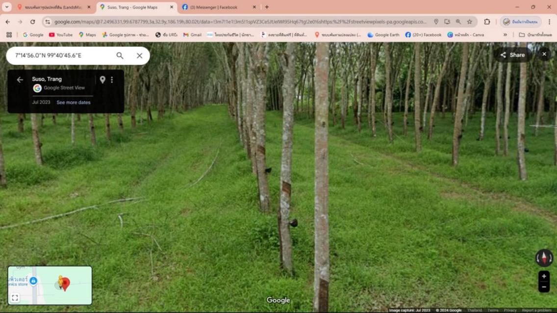 ขายที่ดินสวนยางพารา 30 ไร่ จ.ตรัง 3