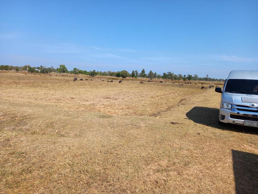 ที่ดินในจังหวัดบุรีรัมย์ 2