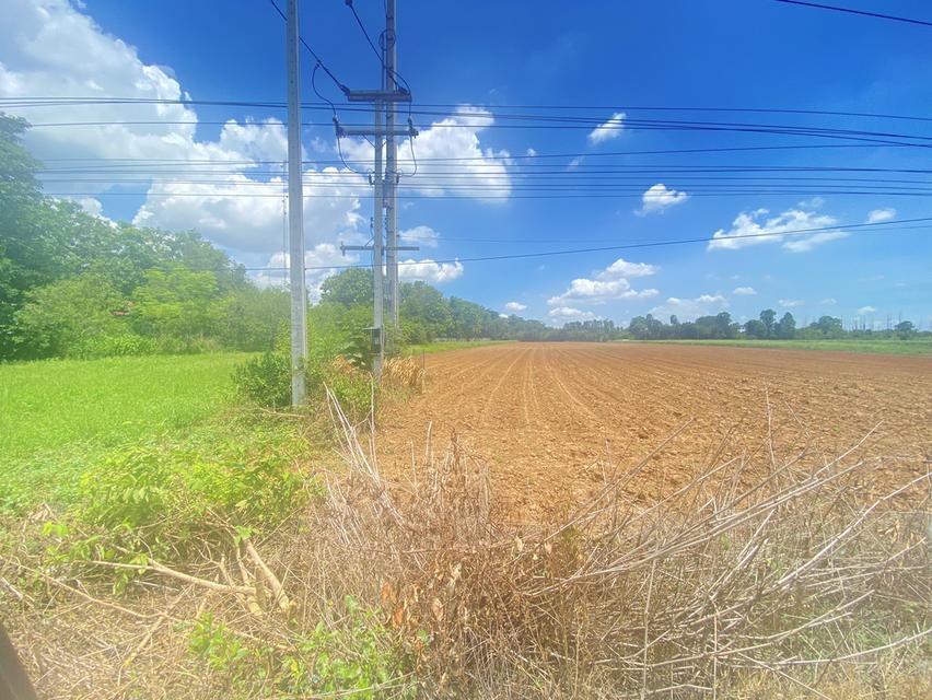 ขายที่ดินเปล่าติดถนน 4