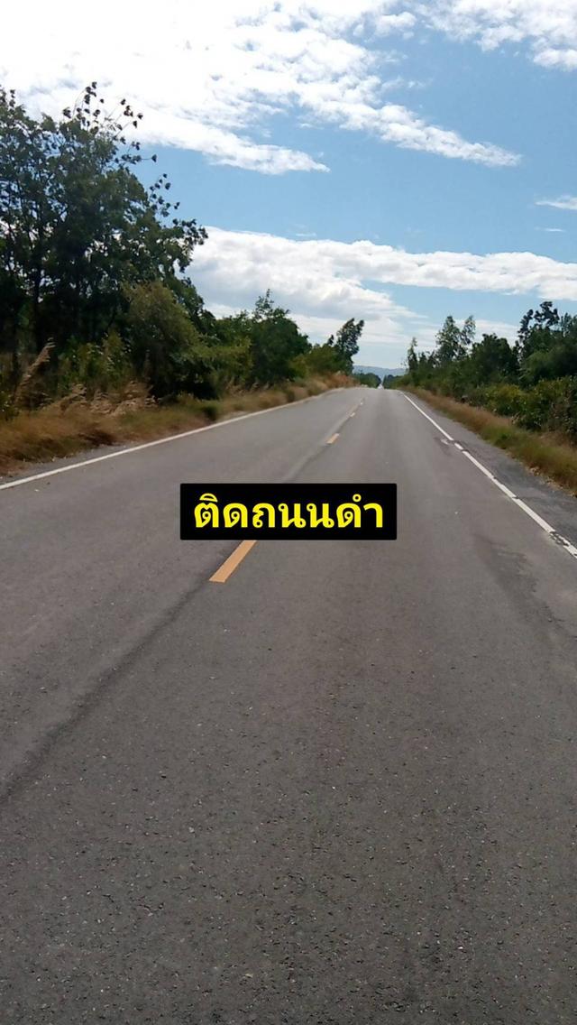 ขายที่ดินสีม่วง219ไร่ อ.พัฒนานิคม จ.ลพบุรี ไร่ละ3แสน 1