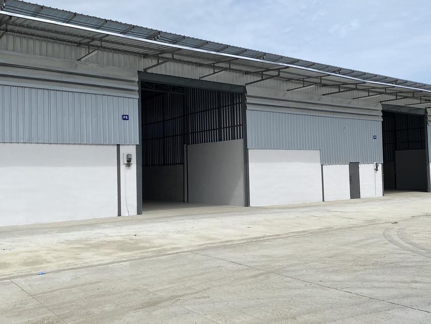 ให้เช่าโรงงาน โกดัง คลังสินค้า ขนาดเริ่มต้น 100 ตร.ม. ถึง 8,000 ตร.ม. แถวแคราย คลองมะเดื่อ นาดี บางน้ำจืด สมุทรสาคร 3