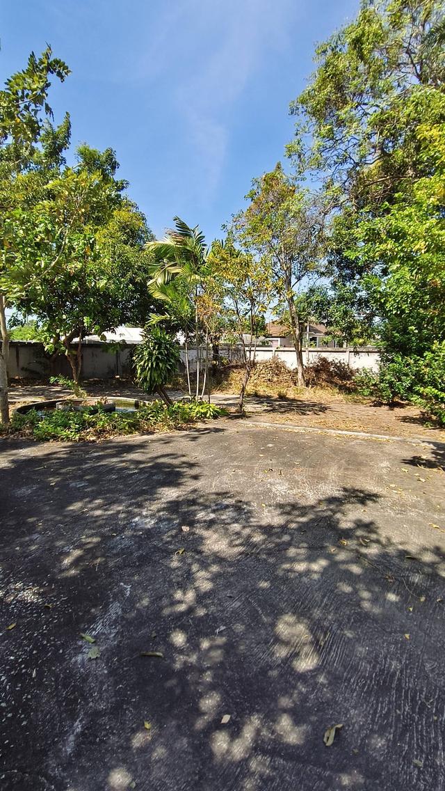 บ้านพร้อมที่ดินใจกลางบางแสน ขนาดเกือบไร่ 13