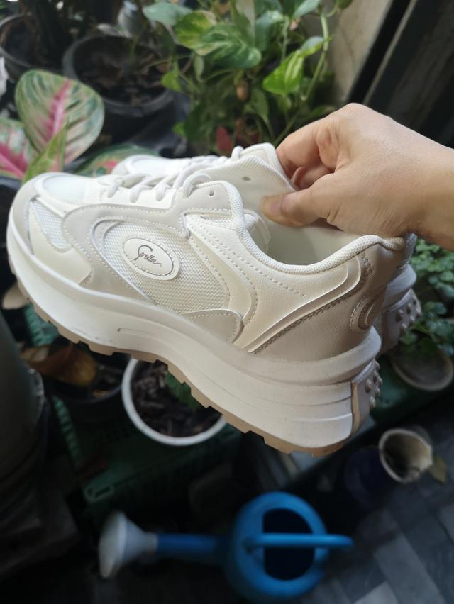 Corolla Colorblock Shoes รองเท้าผ้าใบผู้หญิง สีขาวนวล ไซต์ 40 (25 cm)