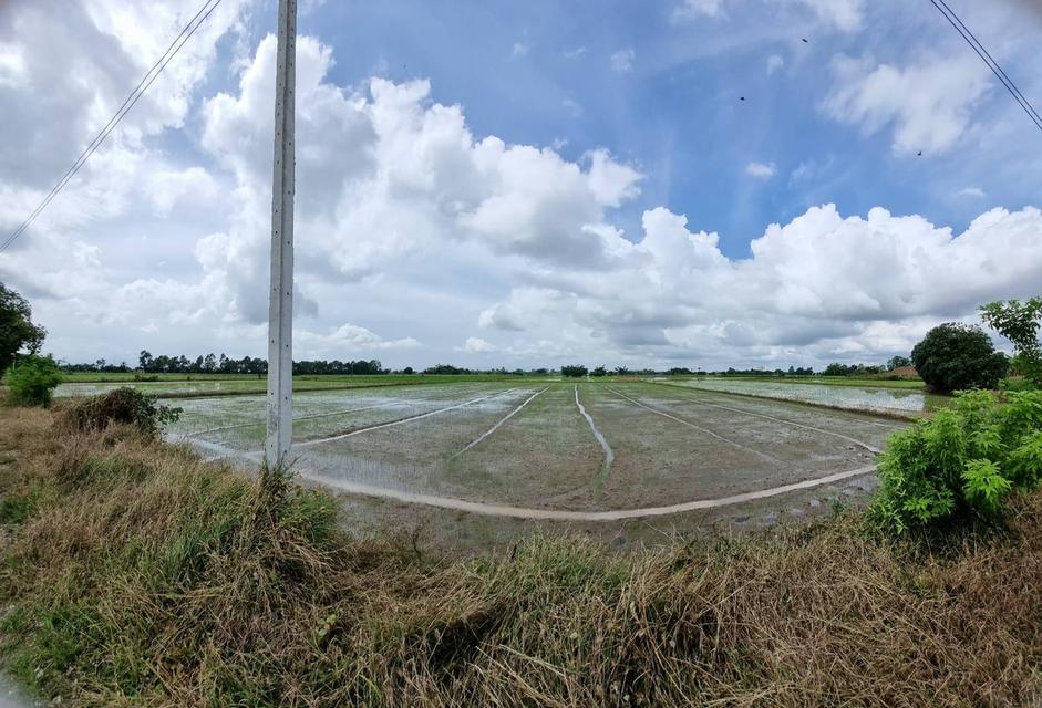 ขายที่ดิน 9.2 ไร่ พิษณุโลก ในเมือง 1