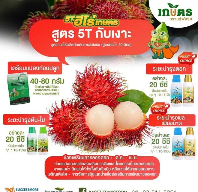 ปุ๋ย transform n p k สูตร 6 6 20 รูปที่ 6