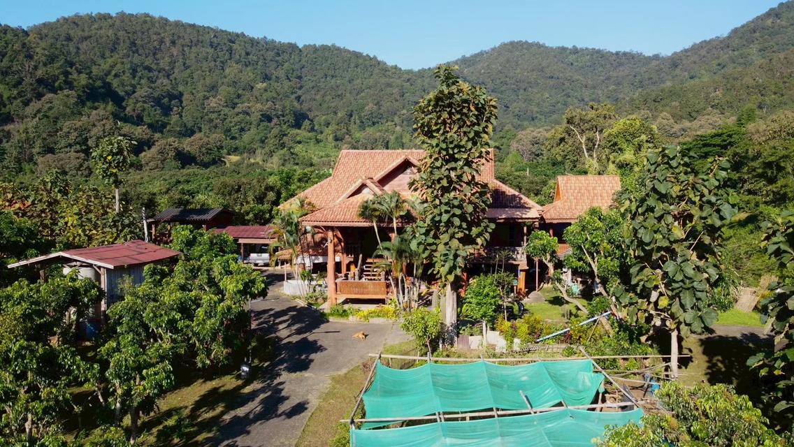 ขายบ้านสวนไม้สักทรงไทย ท่ามกลางธรรมชาติและวิวภูเขาล้อมรอบ 10,000,000 บาท จังหวัดเชียงใหม่
