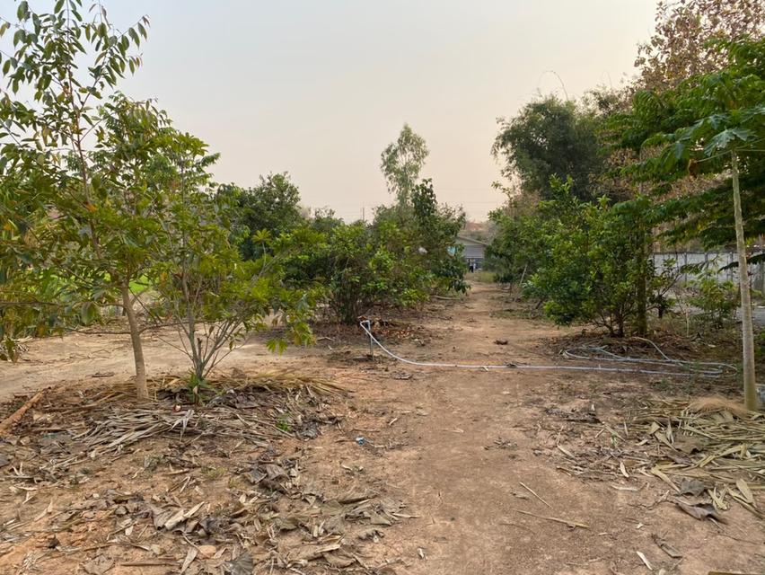 บ้านพร้อมที่ดินถมแล้ว ติดถนนสายหลัก อ.เชียงแสน จ.เชียงราย 7