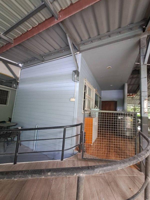 ขายบ้านเดี่ยว 1 ชั้น หมู่บ้านหนองสรวง อ.ศรีประจันต์ สุพรรณบุรี ใกล้โรงเรียน โรงพยาบาล ตลาด โทร 0869220218 13
