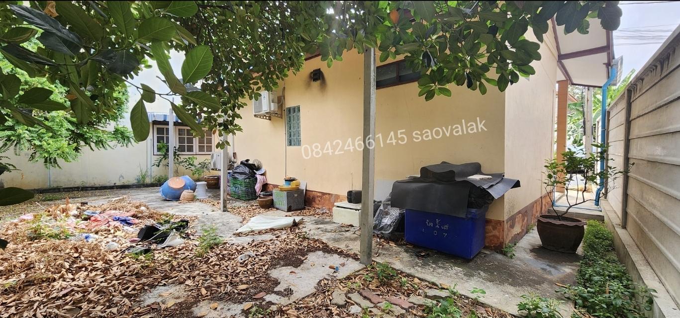 ขายบ้านเดี่ยว ชั้นเดียว ลาดพร้าว101 แยก 46 ราคาดีมาก ต่อรองได้ 3