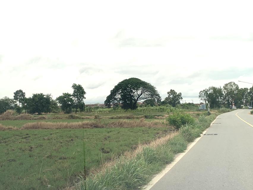 ขายที่ดินแหลมฉบัง ทุ่งกราด ใกล้ถนนตัดใหม่ ทล.3009 ห่างจากท่าเรือแหลมท่าเรือแหลมฉบัง 3.5กม. ผังเมือง EEC 8