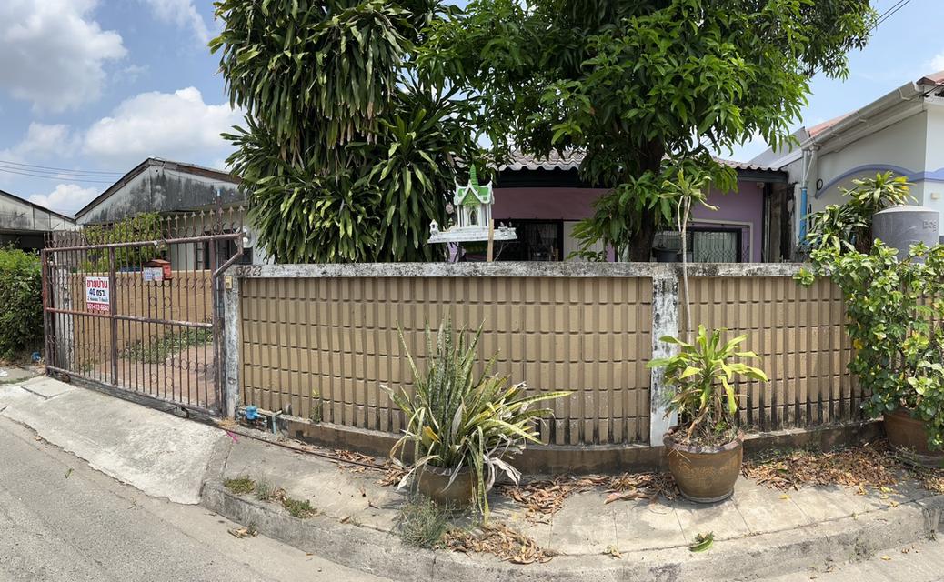 ขายบ้านเดี่ยว2ห้องนอน1ห้องน้ำด่วน 1