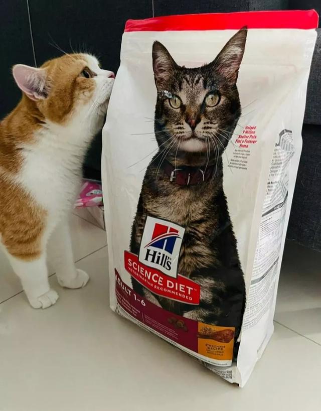 อาหารแมว 1-6 ปี 1