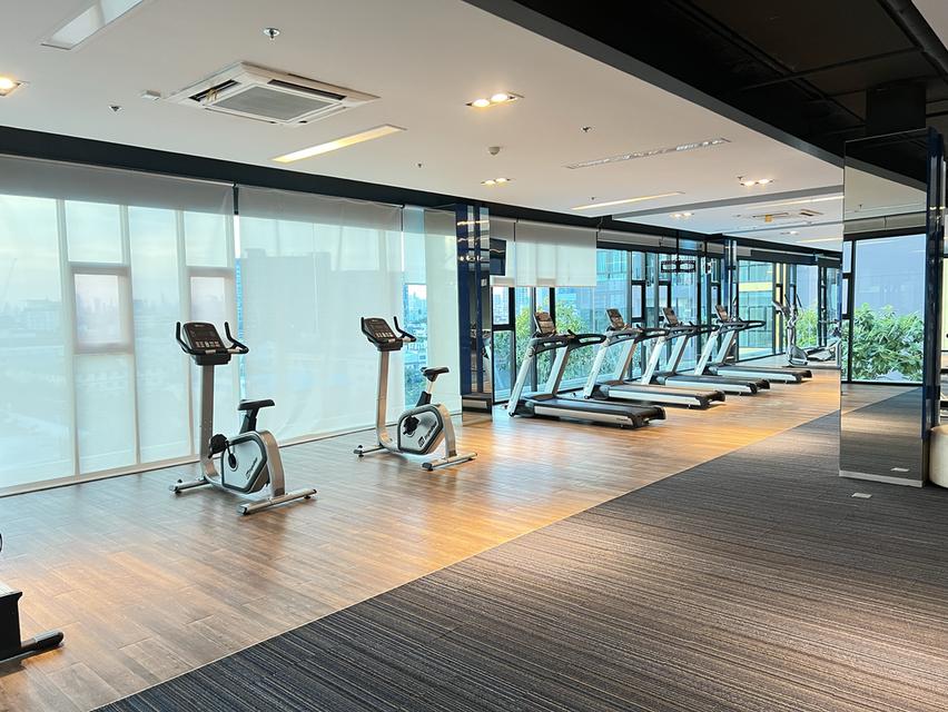 คอนโด The shy Sukhumvit 18