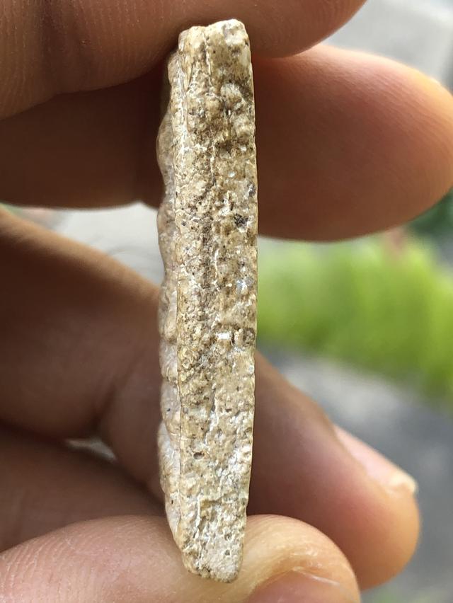 พระสมเด็จวัดระฆังพิมพ์ใหญ่ รูปที่ 4