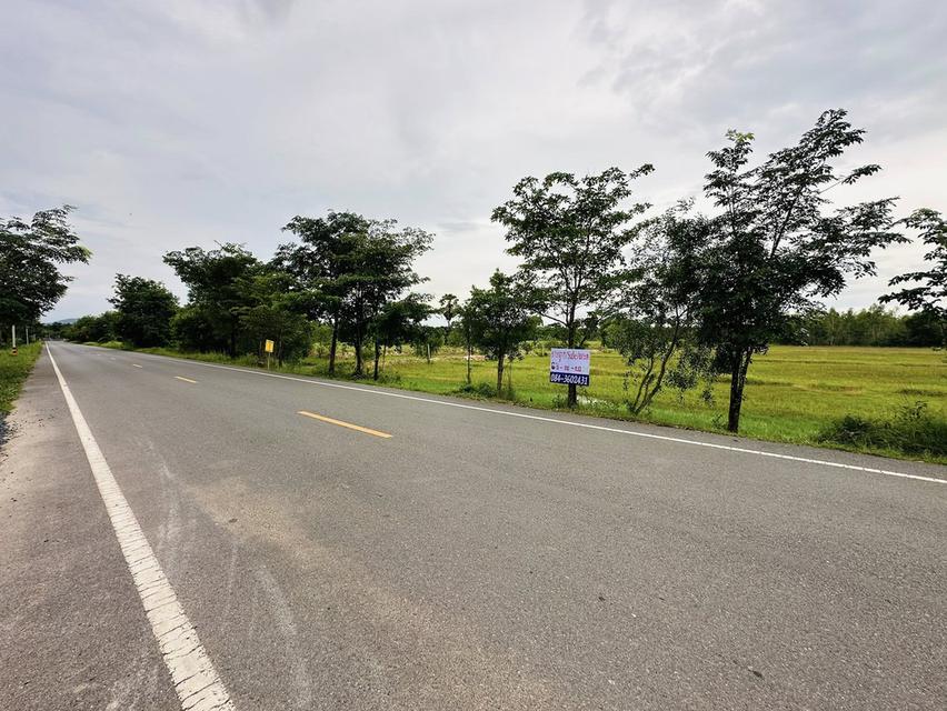 ขายที่ดิน ปราจีนบุรี ประจันตคาม  ราคาถูก  6