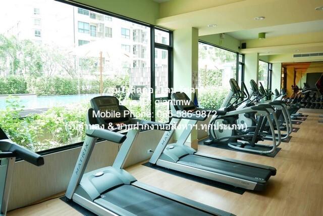 คอนโด. ศุภาลัย คิวท์ รัชโยธิน - พหลโยธิน 34 34 SQ.METER 13000 BAHT ไม่ไกลจาก พหลโยธิน 34 หรูอยู่สบาย เป็นคอนโดพร้อมอยู่ท 4