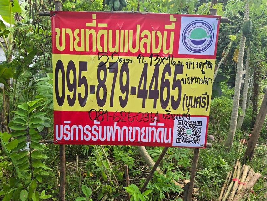 ขายด่วนที่ดิน 52 ตรว ติดถนนลาดยางสาธารณะ ถมแล้ว ต.บางคูรัด อ.บางบัวทอง จ.นนทบุรี 1