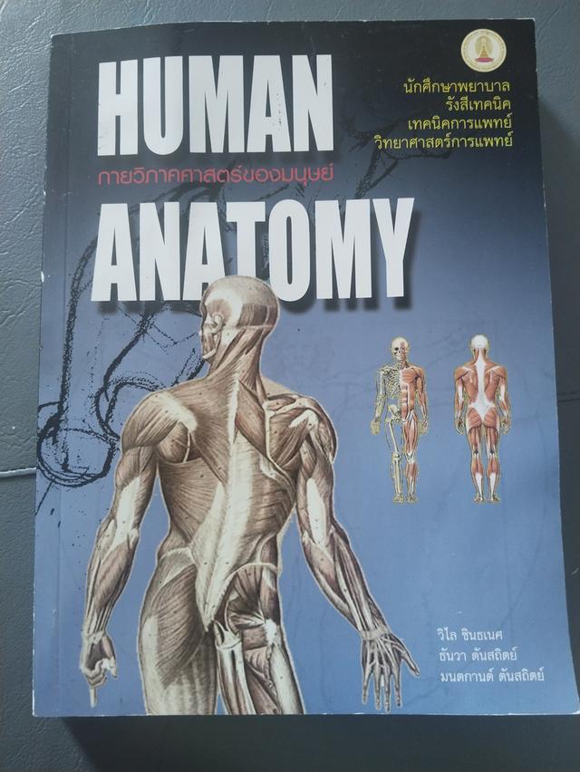 หนังสือกายวิภาคศาสตร์