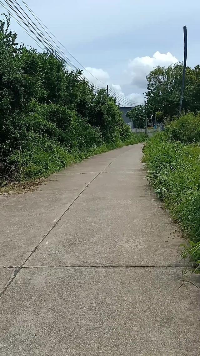 ที่ดินเเปลงสวยเขามะกอก13 พัทยา 3