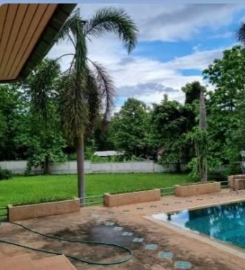 ขายบ้านเดี่ยวชั้นเดียวพร้อมที่ดินบนพื้นที่ 1,100 ตร.ว. พื้นที่ใช้สอย 300 ตร.ม. มี 2 โฉนด ตำบลห้วยทราย แม่ริม เชียงใหม่ 14