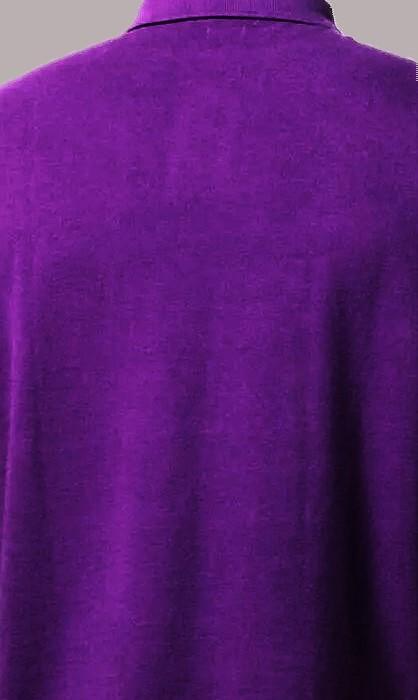 Polo Ralph by Lauren Custom Fit Polo shirt 5