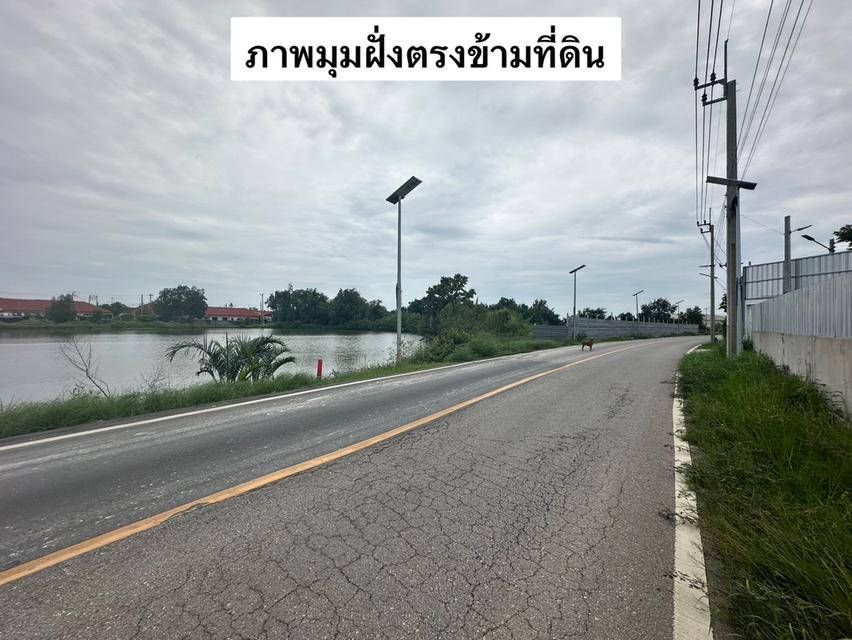ขายที่ดิน ในคลองบางปลากด สมุทรปราการ