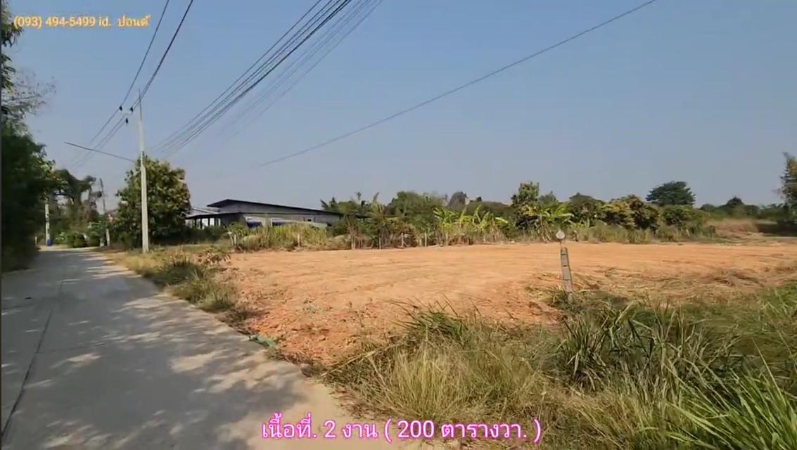 ที่ดินถูกขามทะเลสอโคราช  [ 1.6 ลบ.| 2 งาน. ] ใกล้มอเตอร์เวย์ (M6)  | ( 8,000 บ./ตร.ว.) ถมแล้ว น้ำไม่ท่วม 2