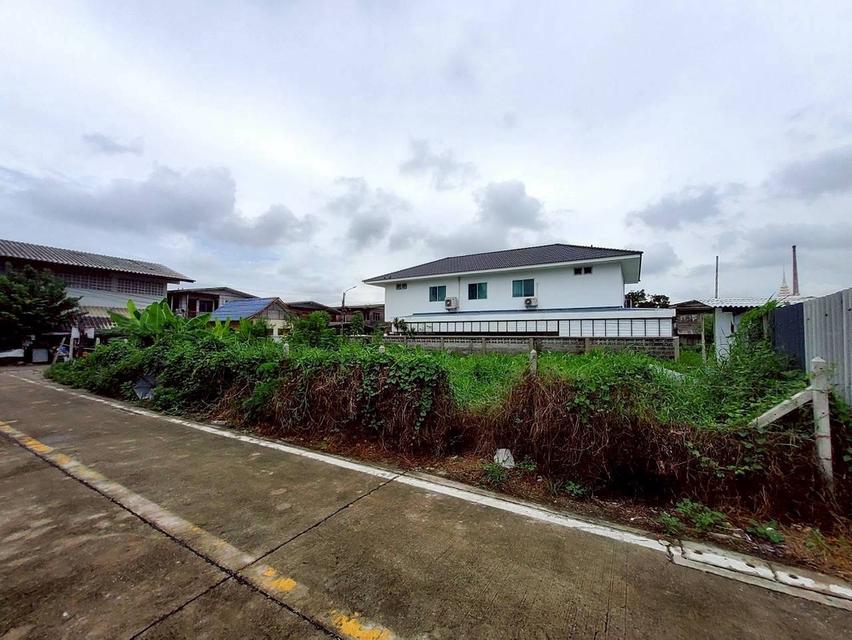 ขายถูก ที่ดินใกล้รถไฟฟ้าสายสีม่วง 103 ตารางวา แปลงมุม ติดถนนคอนกรีตสาธารณะ ซอยวัดไผ่เหลือง อ.บางบัวทอง จ.นนทบุรี 6