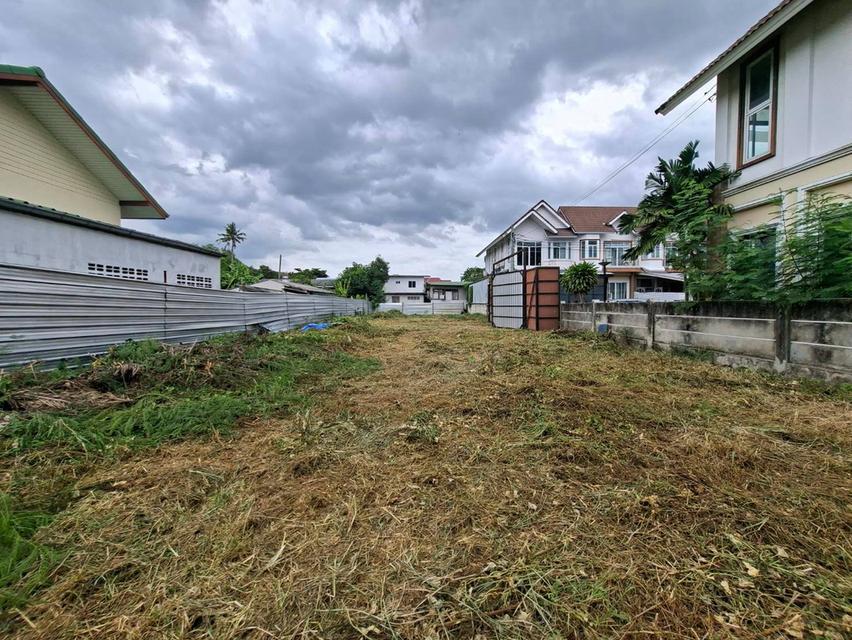 ขายที่ดิน 159 ตร.ว. สุขุมวิท 101 (ปุณณวิถี 52) ใกล้ BTS ปุณณวิถี เหมาะสำหรับสร้างบ้าน (N.2304) 6