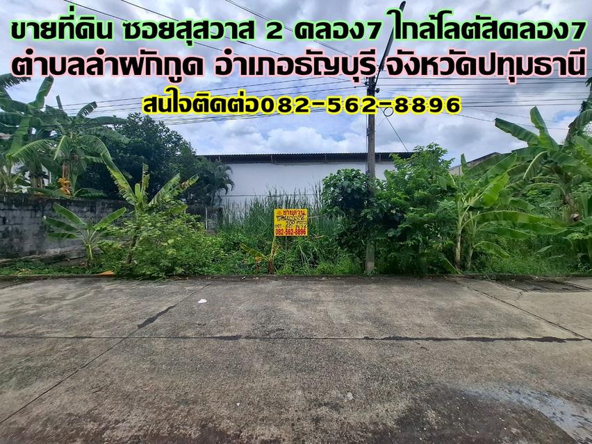 ขายที่ดิน ซอยสุสวาส 2 คลอง7 ใกล้โลตัสรังสิตคลอง7 ธัญบุรี ปทุมธานี 1