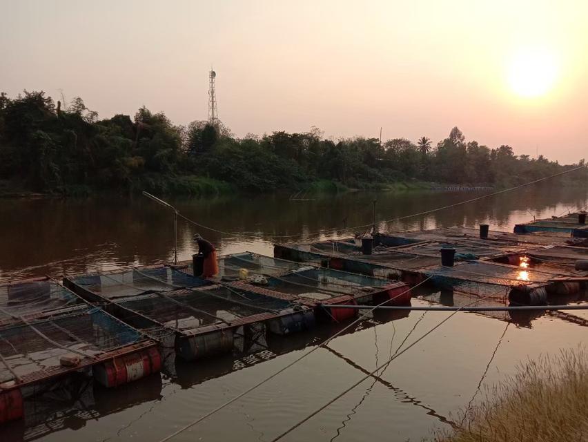 บ้านริมน้ำพร้อมกระชังเลี้ยงปลาและสวน 10