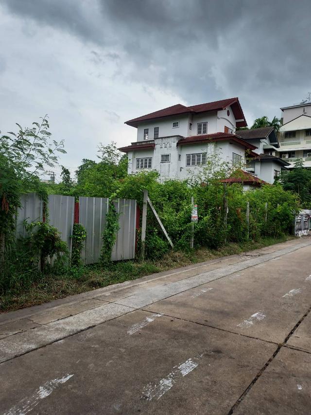 รูป ขายที่ดิน สวย 125 ตรว. ในซอยอ่อนนุช 46 ใกล้ตลาดเอี่ยมสมบัติ