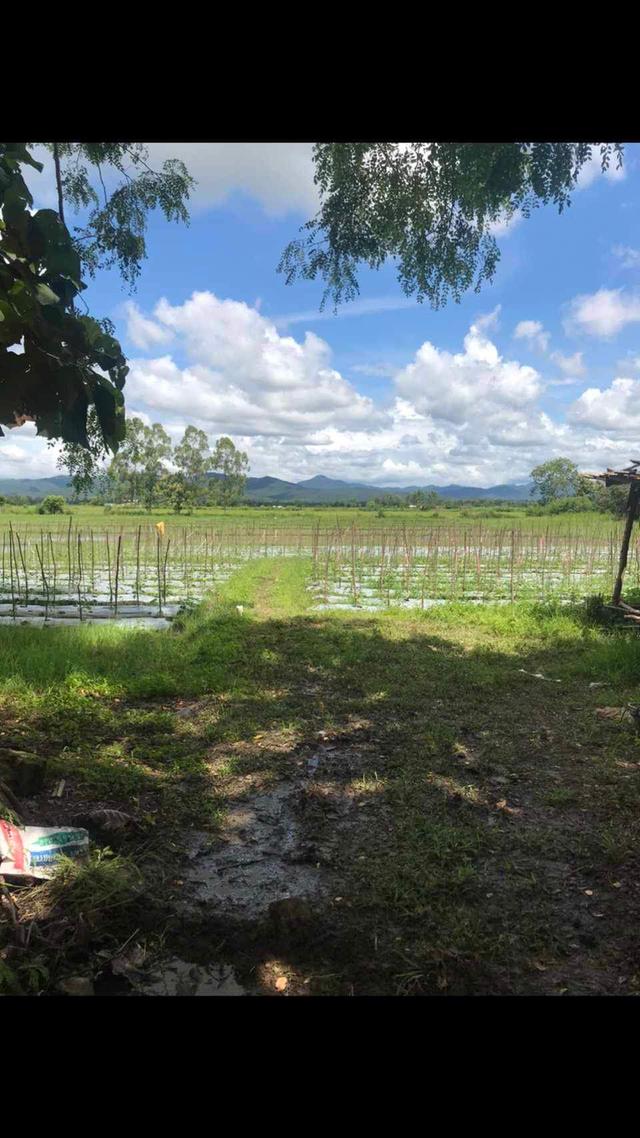 ที่ดินวิวภูเขา ใกล้เมืองเชียงใหม่ ทำเลหายากบรรยากาศเหมือนรีสอร์ส่วนตัว 2