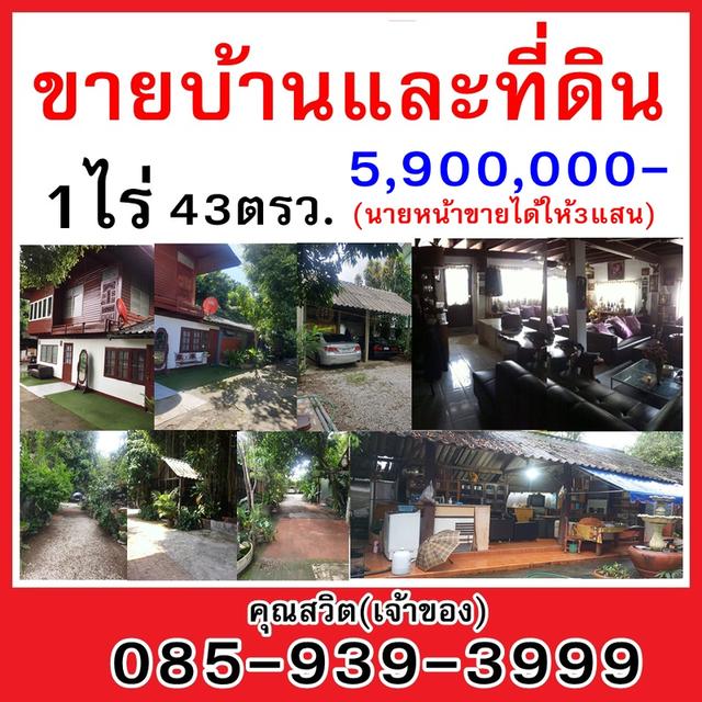 ขายบ้านและที่ดิน ต.ริมกก จ.เชียงราย(เจ้าของขายเอง)