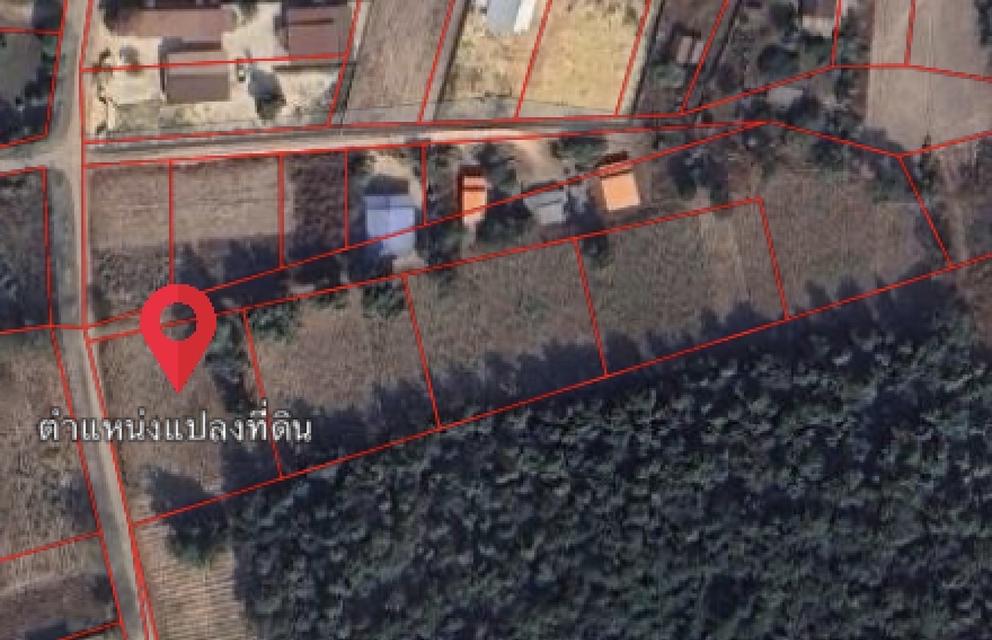 ที่ดิน ต.พรานกระต่าย อ.พรานกระต่าย จ.กำแพงเพชร 3